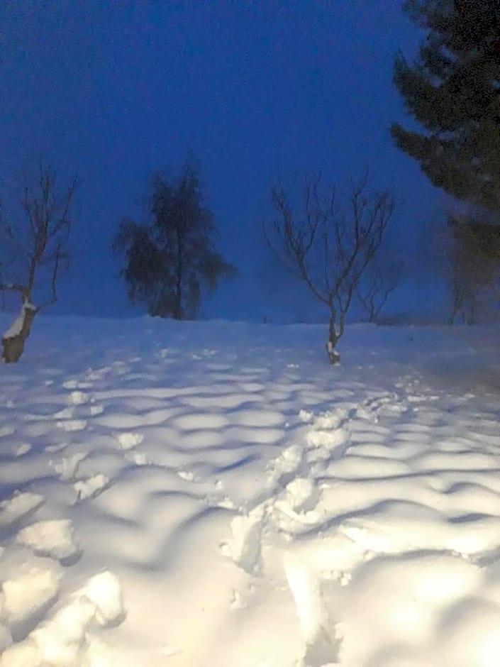 FINCA LA FOIA EL POU