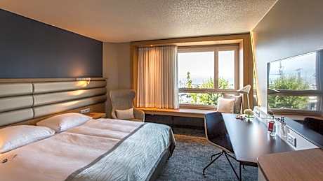 Deluxe Queen Room with Lake View