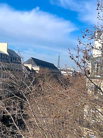 Hotel Cluny Square