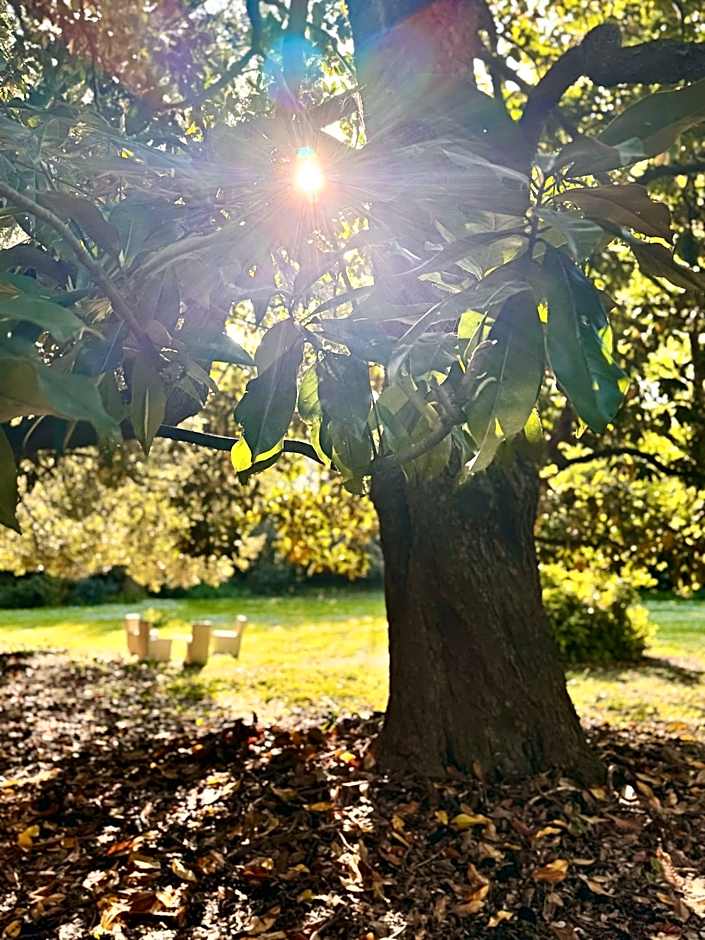 Villa La Dogana B&B di Charme - Historic Villa with a beautiful garden - private parking