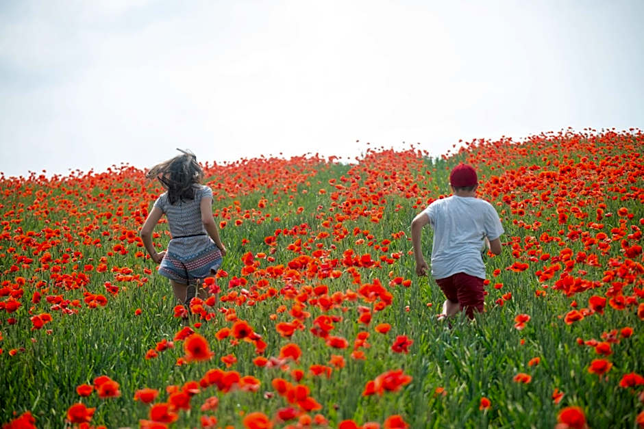 Golchener Hof - Familienhotel & Bauernhofurlaub in Mecklenburg