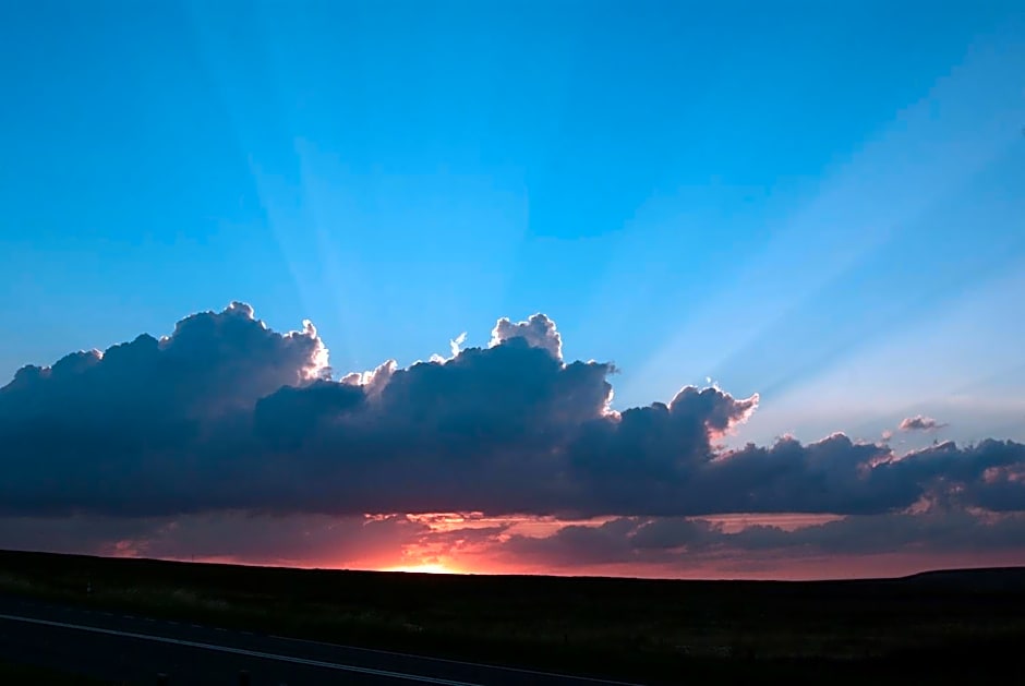 The Dog and Partridge