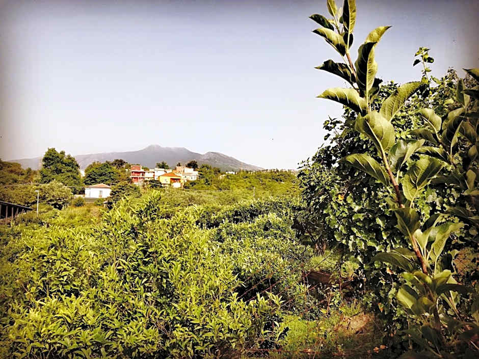 Petralava Etna B&B