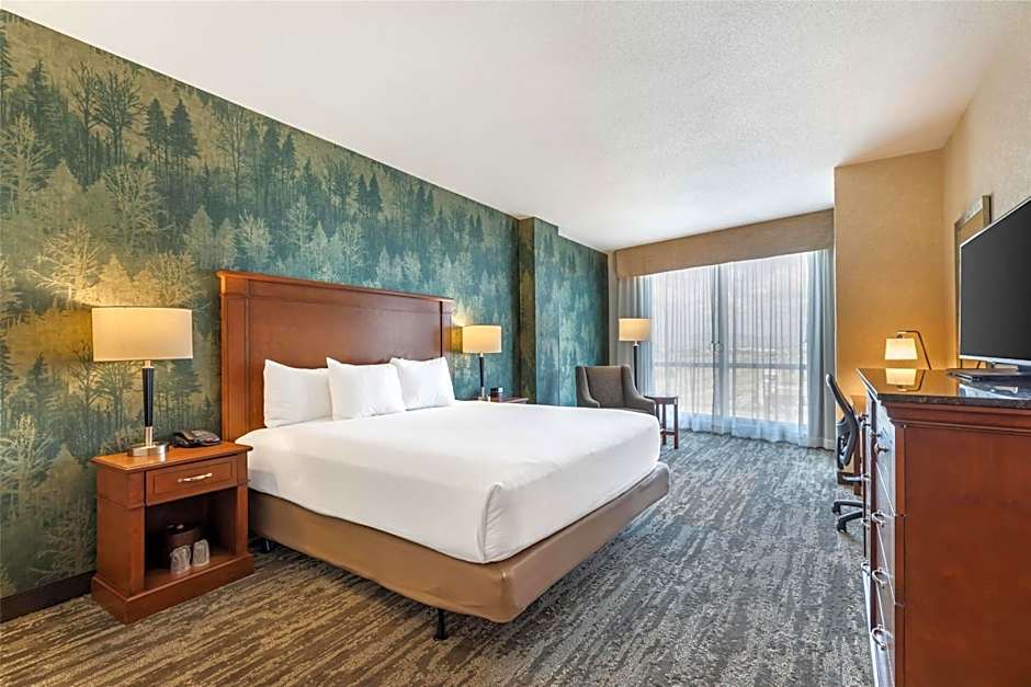 Drury Plaza Hotel Denver Central Park