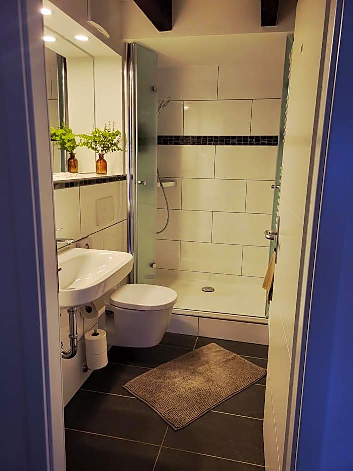 CJS Apartments - Chill or Drive am Nürburgring, new Box Spring Beds, new furniture, free Parking, WLan, TV-Streaming, Quiet Location