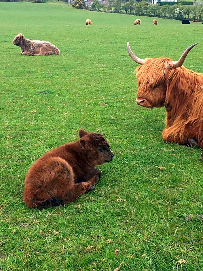 The Greannan Bed & Breakfast