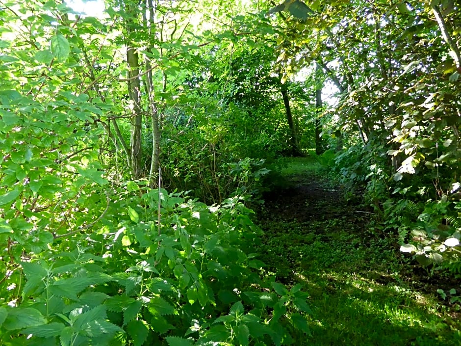 Logeren bij de Ruimte