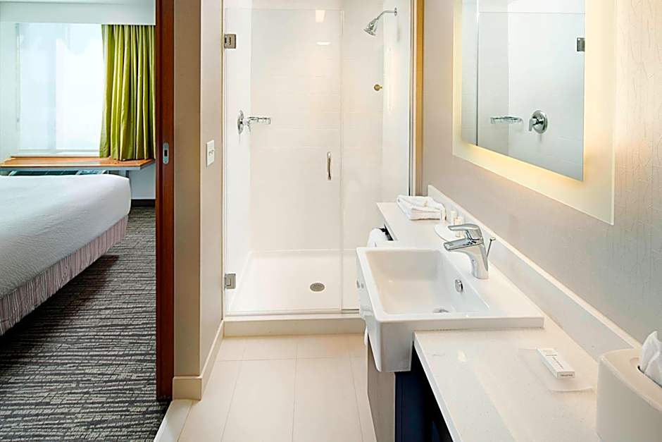 SpringHill Suites by Marriott Carle Place Garden City