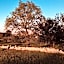 Masseria Fenicia