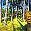 I Cancelli -Mugello Park Family Village