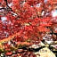 Rinn Gion Shirakawa