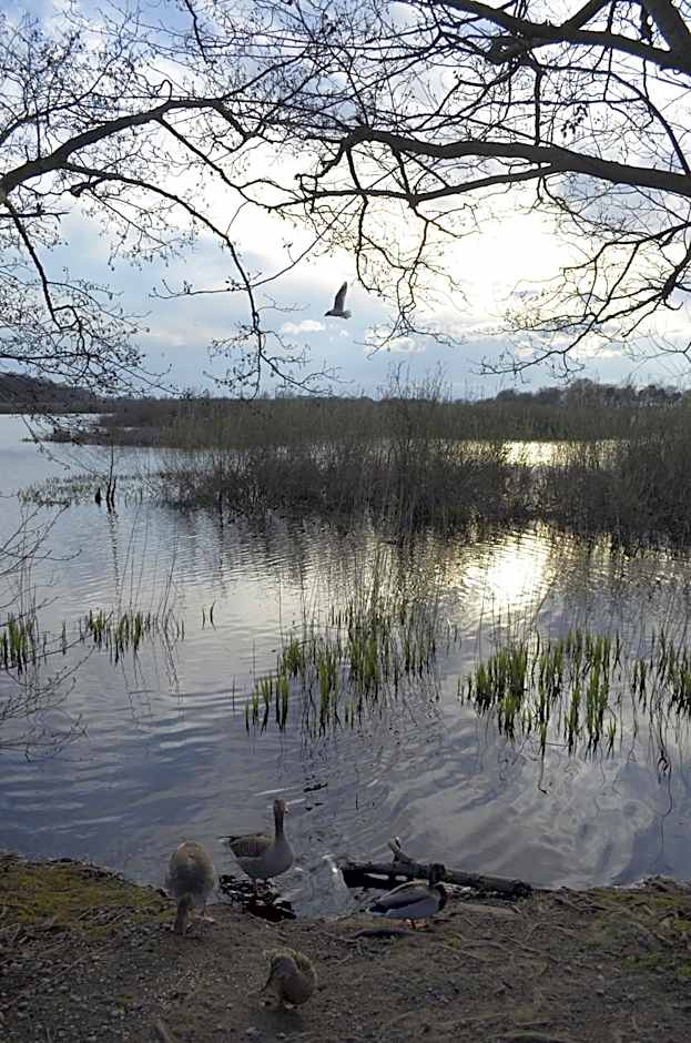 Hotel Mona Lisa Wellness & Spa