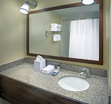 Suite, 1 Bedroom (1 King Bed)