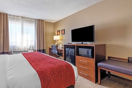 1 King Bed Nonsmoking Accessible