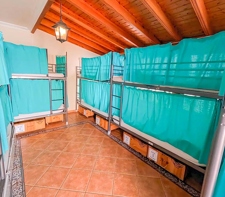 Photo 1 of 6 of Bunk Bed in Mixed Dormitory Room