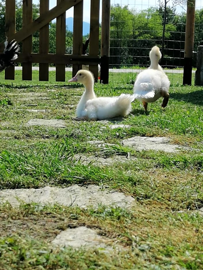 B&B La casa di Loretta