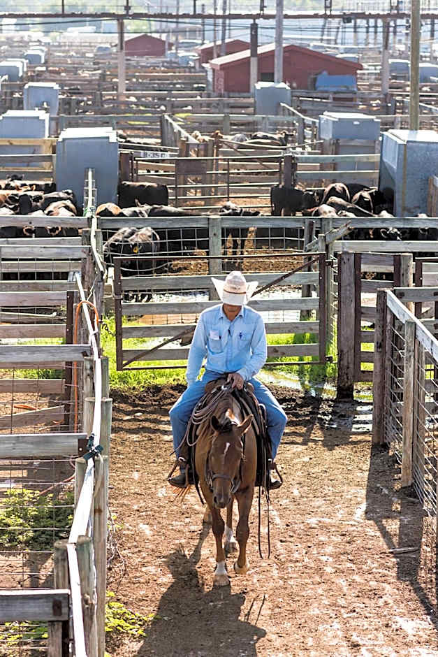 Wyndham Grand Oklahoma City Downtown