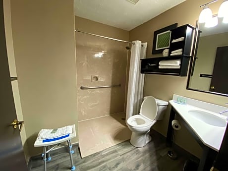 accessible - 1 king, mobility accessible, roll in shower, desk, microwave and refrigerator, wi-fi, non-smoking, full breakfast