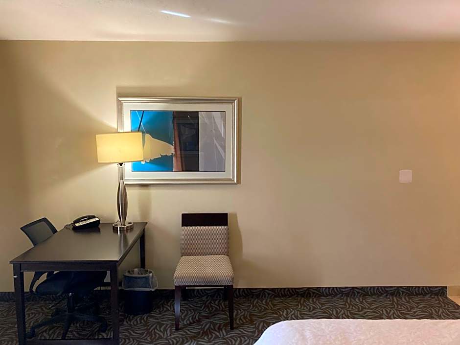 Hampton Inn By Hilton & Suites Carlsbad