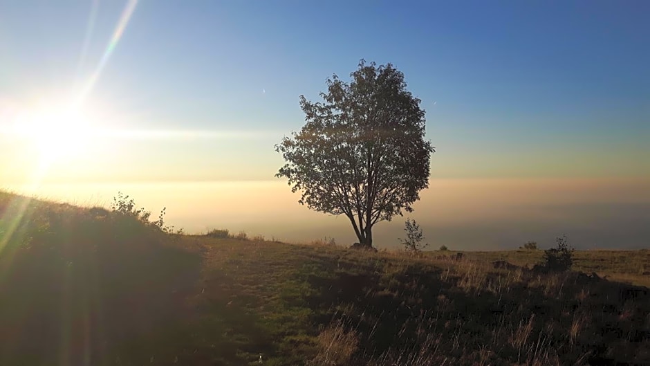 B&B La Coccinella Biologico