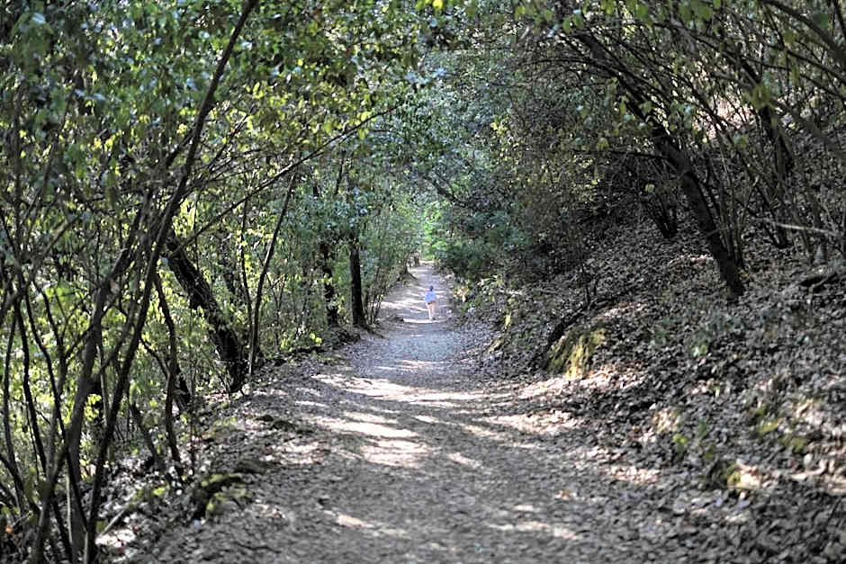 OASI FRANCESCANA SANT'IGNAZIO DA LACONI