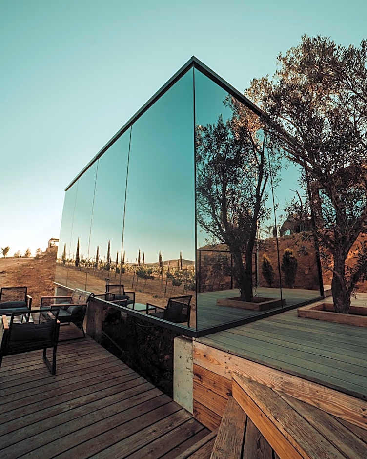 Bajo Estrellas Hotel Contemporáneo