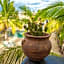 Pure Baja Private Suites-Upscale Property with Infinity Pool and Lush Gardens