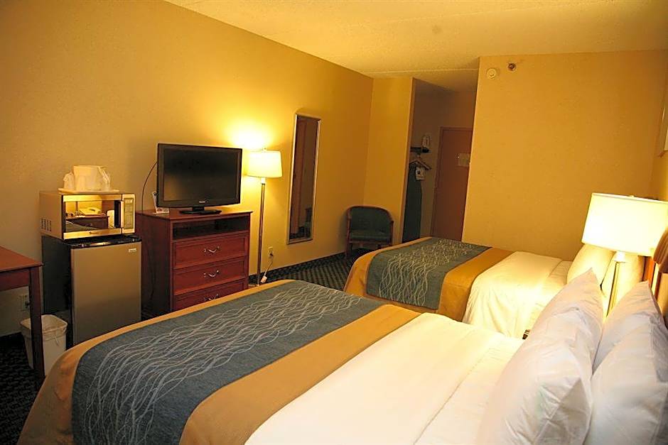 Comfort Inn West Rochester