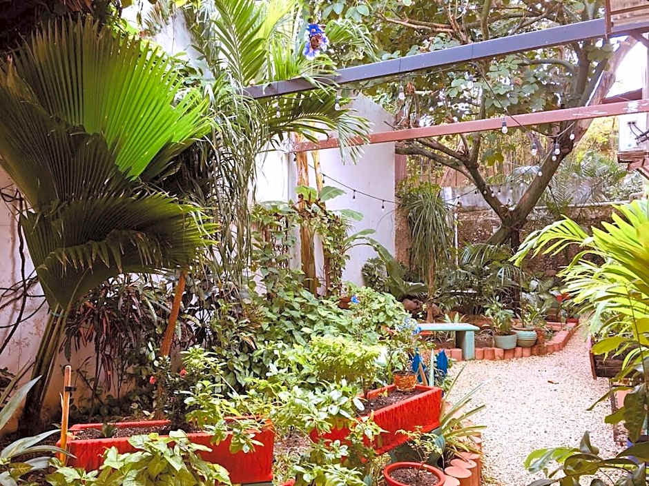 Hotel Casa Pellegrin