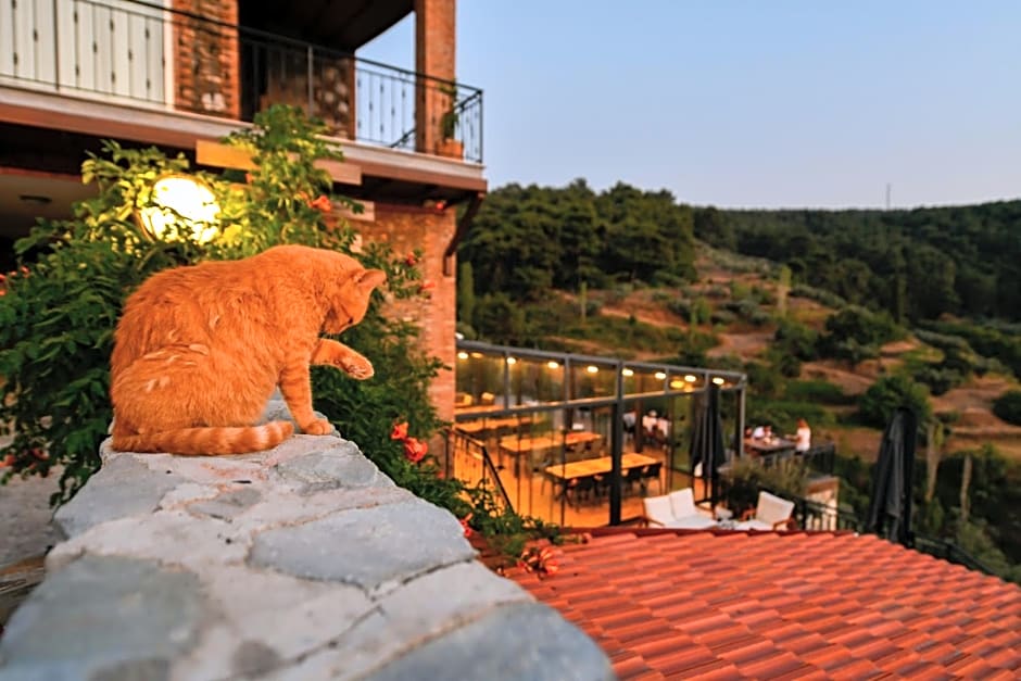 EPHESUS RETREAT