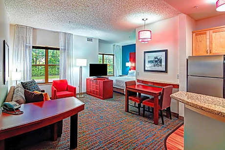 Studio, 1 Queen Bed with Sofa bed (1 Queen Bed and 1 Double Sofa Bed)