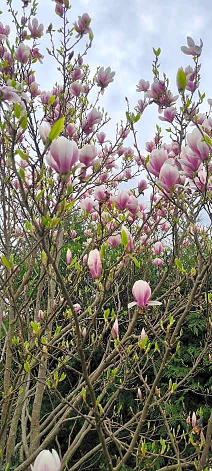 Domek nad jeziorem Bystrzyna