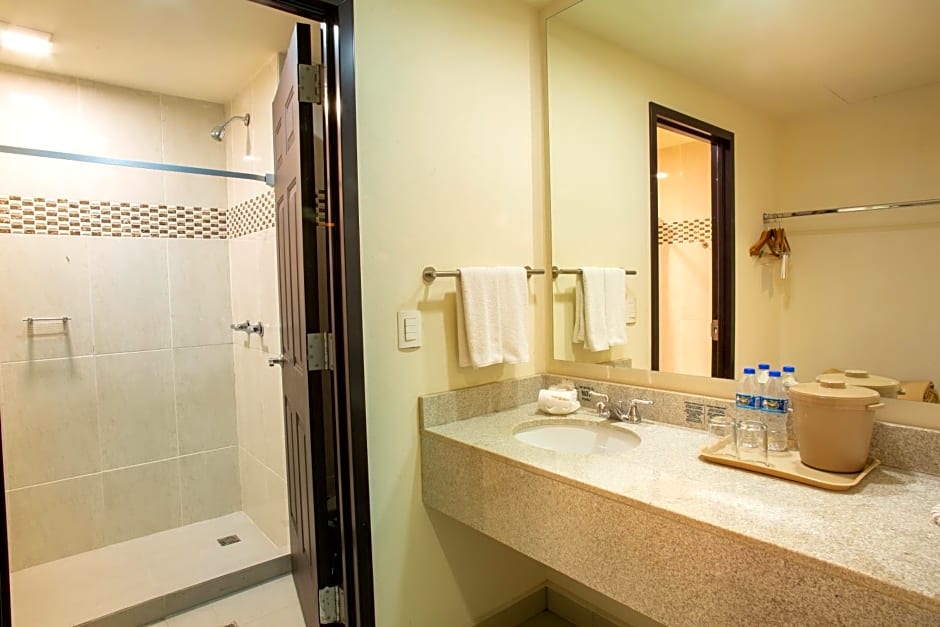 Hotel Plaza Calzada