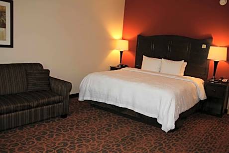 1 King W/Sofabd/Microwv/Fridge Ns