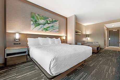 King Suite with Sofa Bed and Communication Assistance