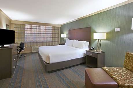 One-Bedroom King Suite