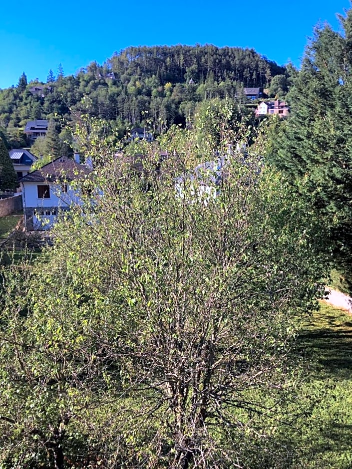 Au bord de l'eau