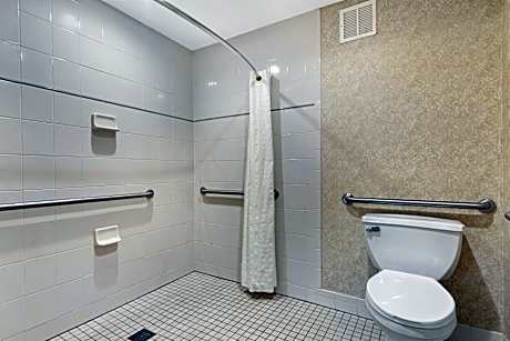 Accessible - 2 King, Mobility Accessible, Communication Assistance, Roll In Shower, Non-Smoking, Ful