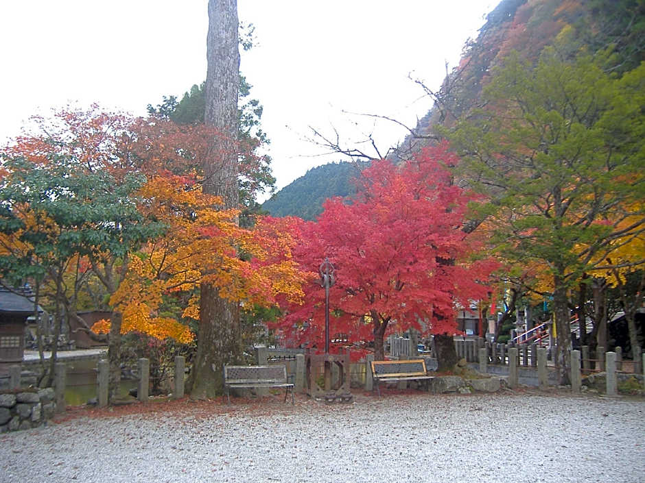 Saratoku Ryokan