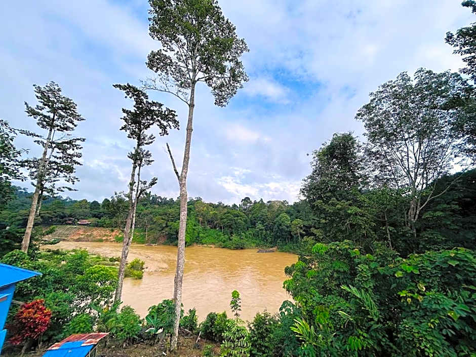 Taman Negara River View Lodge