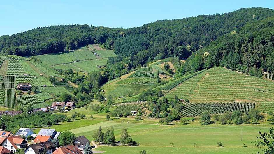 Hotel Schwarzenbergs Traube