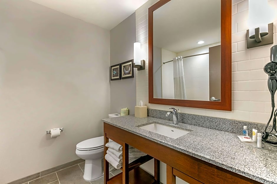 Photo 1 of 5 of 2 Queen Beds Suite