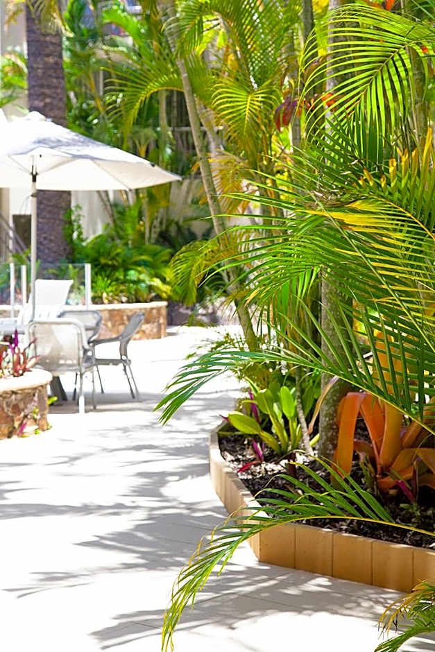 Noosa Tropicana