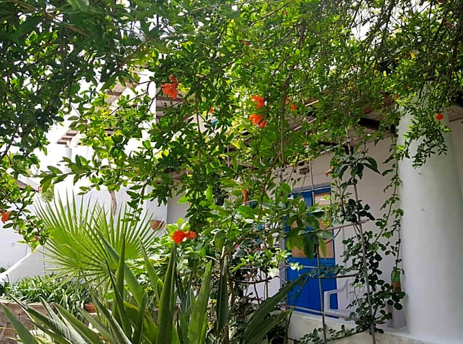 Hotel Rodà