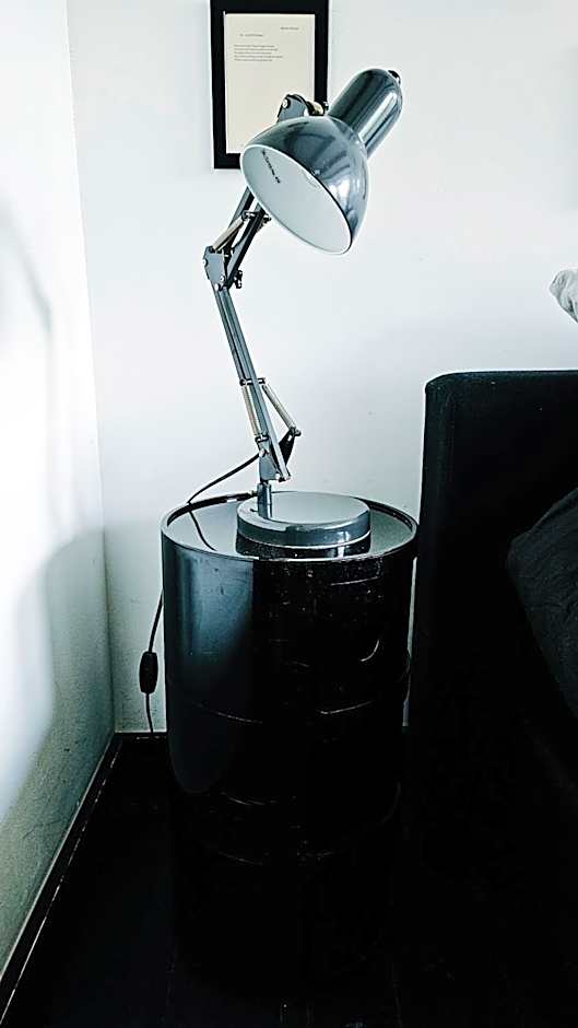 JoyJoyJoy the Black Beauty ecolicious studio in a canal house with French balcony with view on the canals