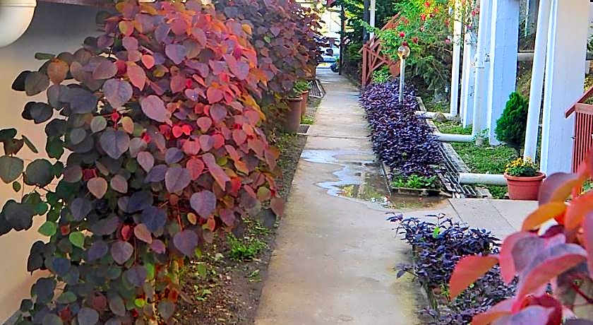 Nabalu Kundasang Lodge