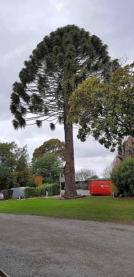 Spring Creek Holiday Park