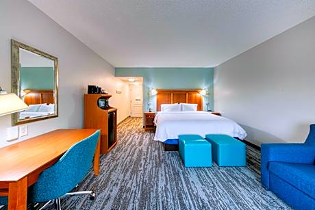 1 KING HEARING ACCESSIBLE W/SOFABED NOSMOK