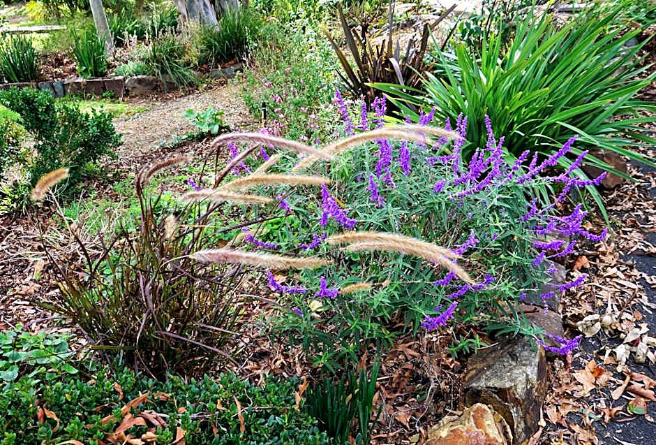 The Oaks Lilydale Accommodation