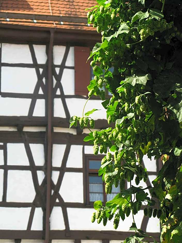 Best Western Bierkulturhotel Schwanen